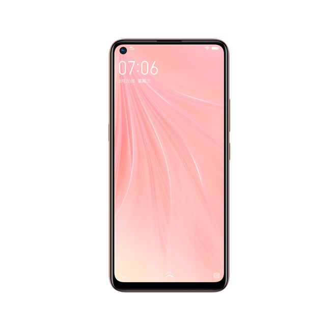 Smartphonesvivo Z5x (2020)